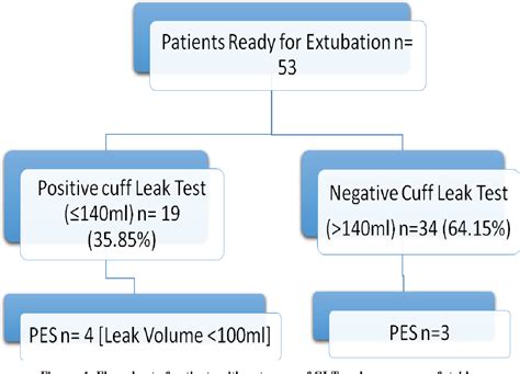 cuff leak test|Extubation Assessment in the ICU • LITFL • CCC。